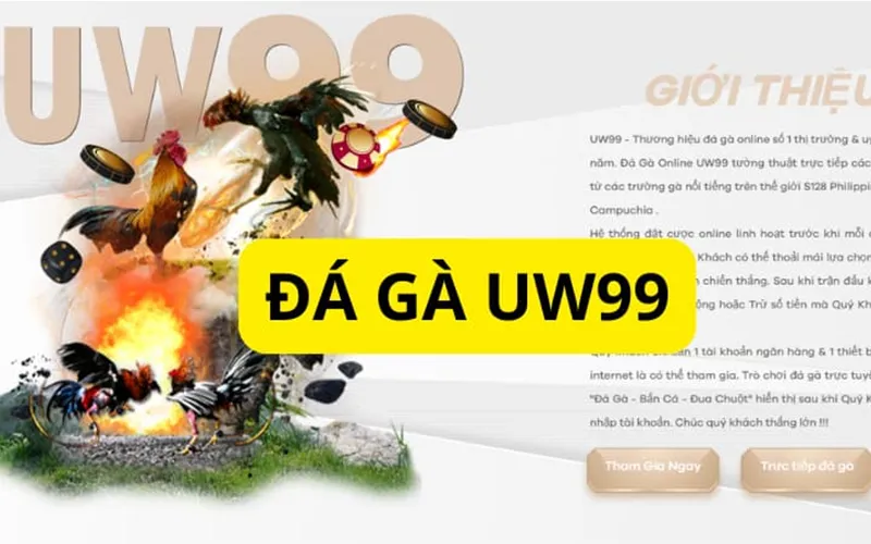 Đá Gà UW99 Là Gì? Review Chi Tiết Từ A-Z